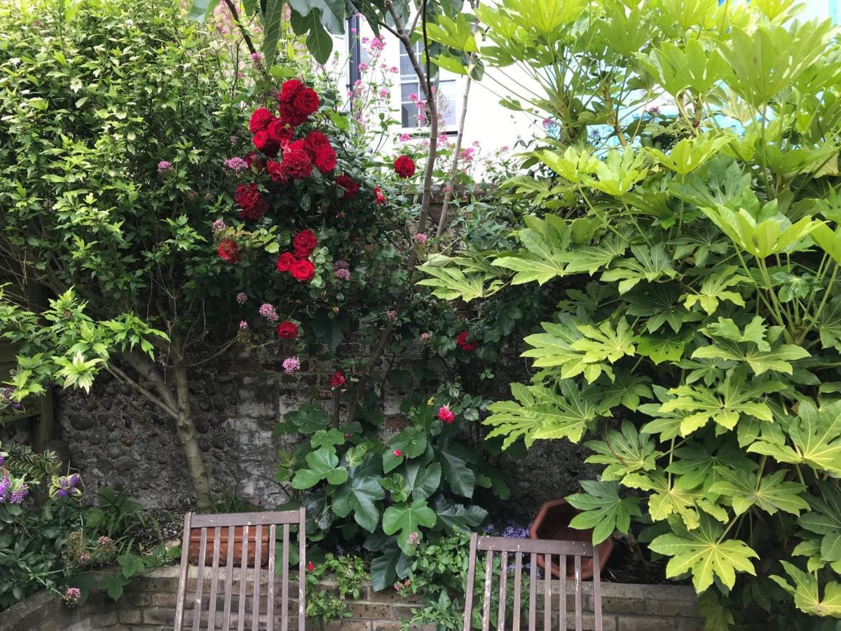 Amazing Apartment, Private Garden, Off Street Parking Hove Exterior foto